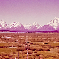 Click for larger view!